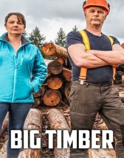 Big Timber temporada  1 online