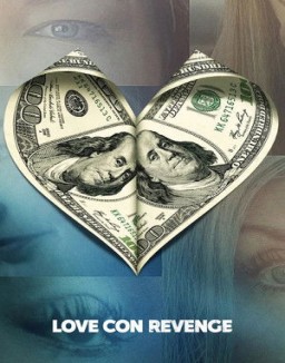 Falso amor y venganza online gratis